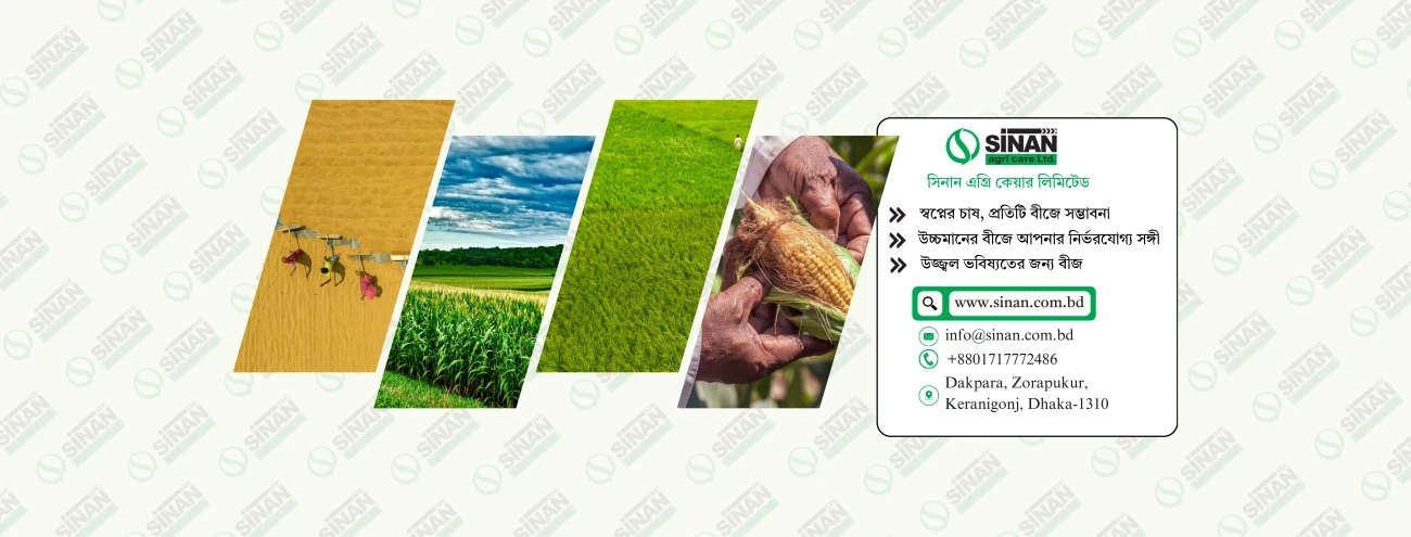 যোগাযোগ